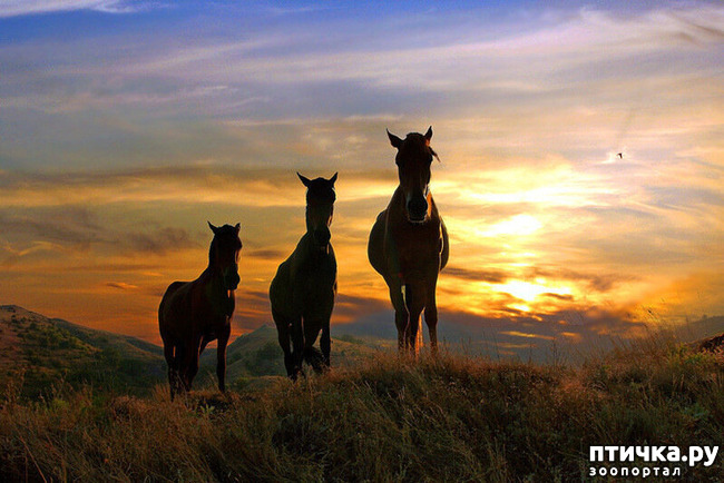 ���� 43: ������������ ������!