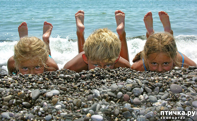 ���� 45: ������������ ������!