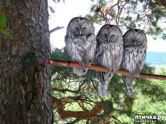 ���� 47: ������������ ������!