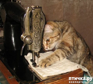 ����: �� ���������� - �������� �� �����