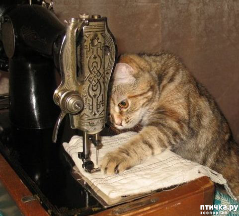 ���� 1: �� ���������� - �������� �� �����