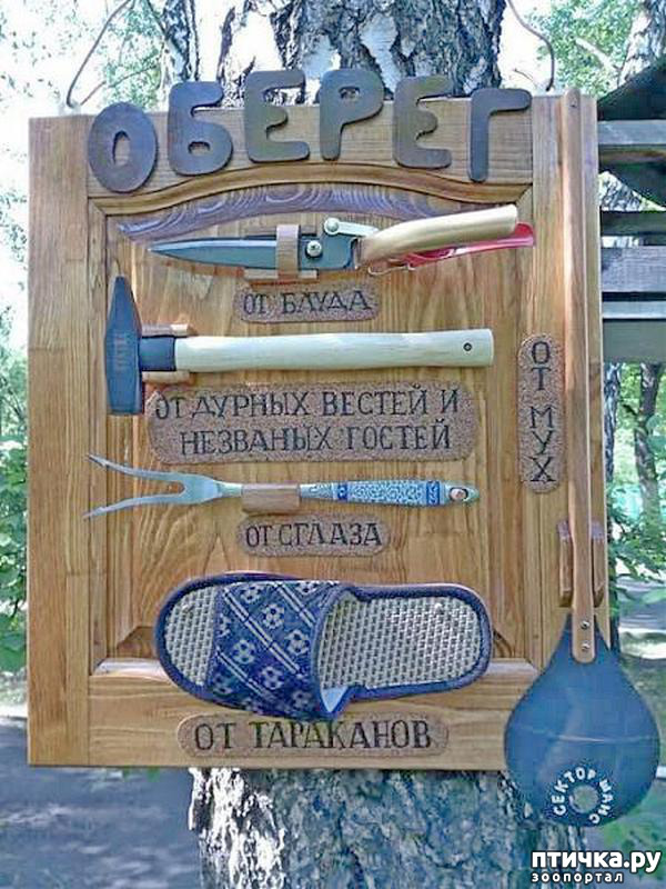 ���� 3: �� ���������� - �������� �� �����