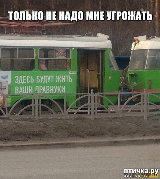 ���� 5: �� ���������� - �������� �� �����