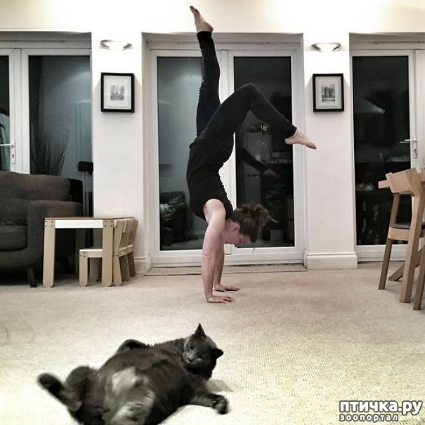 ���� 2: �����, ����������� ����