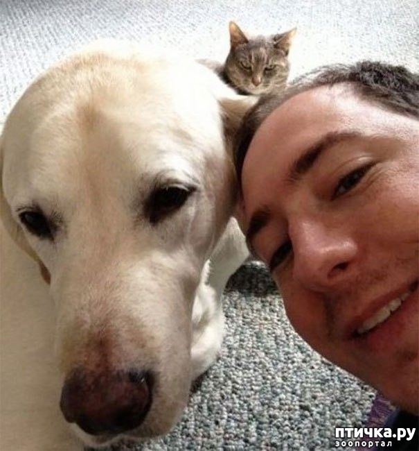 ���� 3: �����, ����������� ����