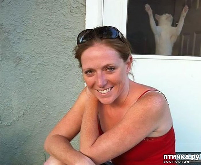 ���� 4: �����, ����������� ����