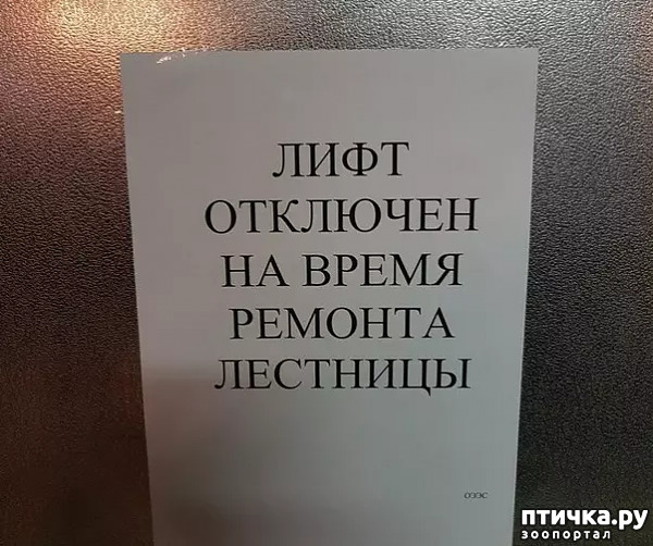 ���� 11: �� ���������� - �������� �� �����