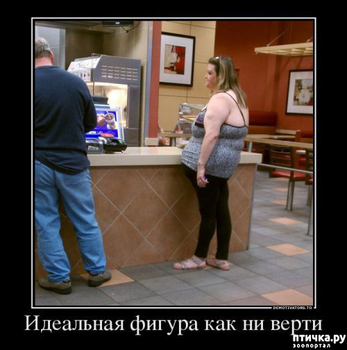 ���� 12: �� ���������� - �������� �� �����