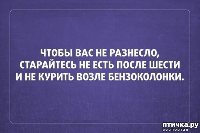 ���� 13: �� ���������� - �������� �� �����