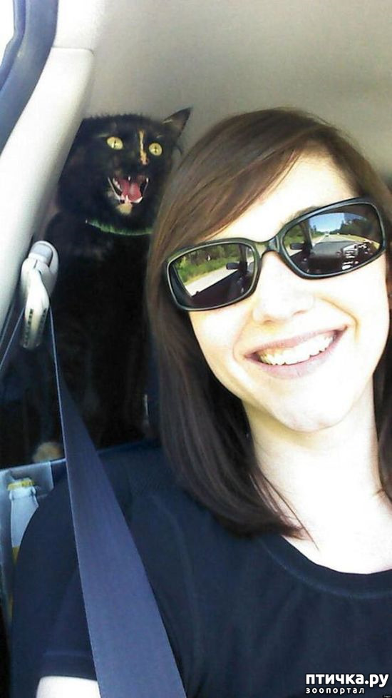 ���� 6: �����, ����������� ����