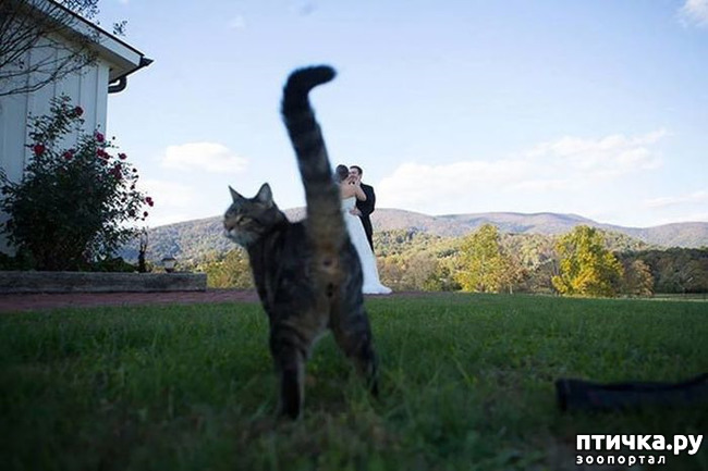 ���� 7: �����, ����������� ����