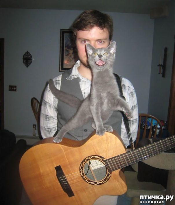 ���� 10: �����, ����������� ����