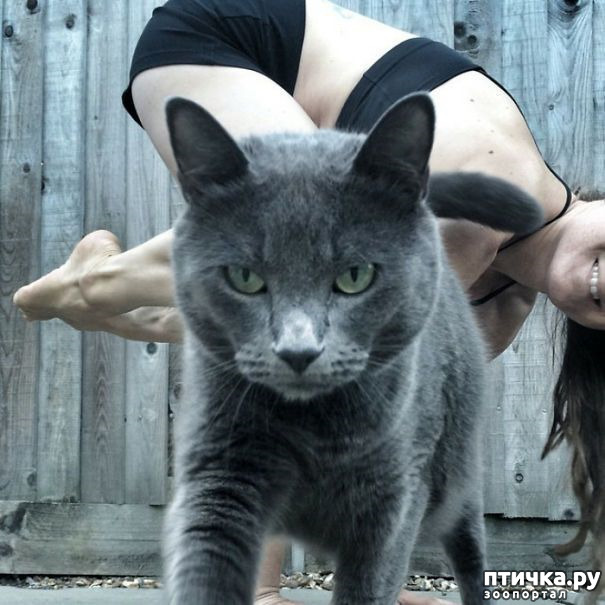 ���� 11: �����, ����������� ����