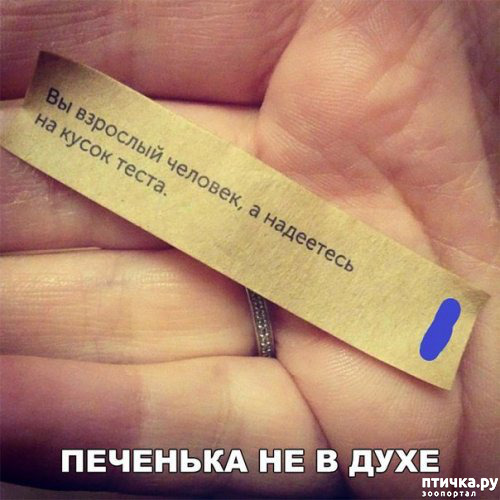 ���� 16: �� ���������� - �������� �� �����