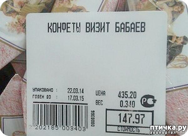 ���� 20: �� ���������� - �������� �� �����