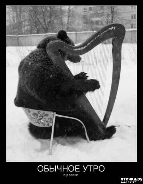 ���� 21: �� ���������� - �������� �� �����