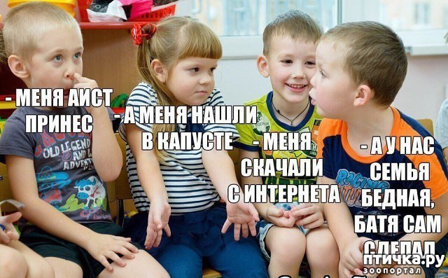 ���� 24: �� ���������� - �������� �� �����