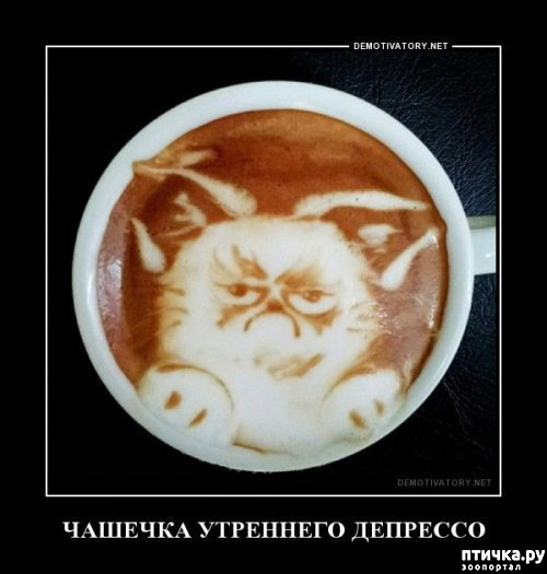 ���� 30: �� ���������� - �������� �� �����