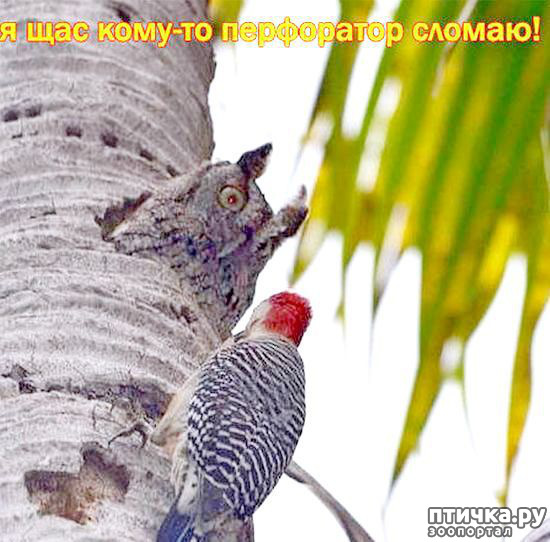 ���� 31: �� ���������� - �������� �� �����