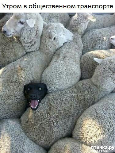 ���� 27: �� ���������� - �������� �� �����