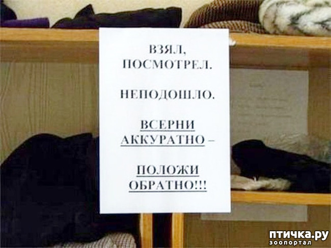 ���� 26: �� ���������� - �������� �� �����