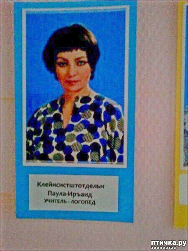 ���� 28: �� ���������� - �������� �� �����