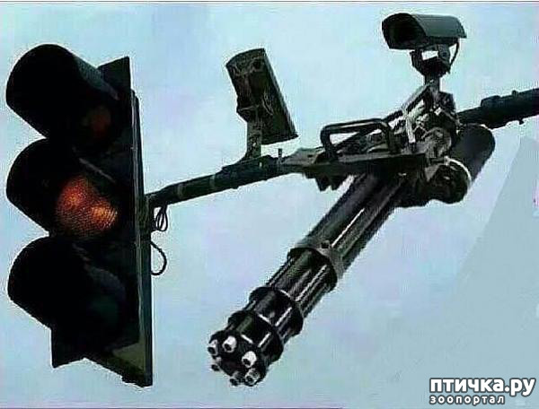 ���� 34: �� ���������� - �������� �� �����