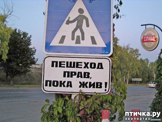 ���� 37: �� ���������� - �������� �� �����