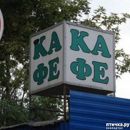 ���� 36: �� ���������� - �������� �� �����