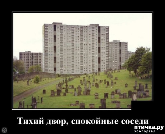 ���� 33: �� ���������� - �������� �� �����