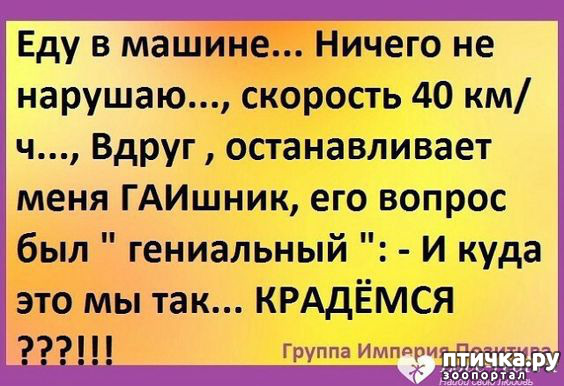 ���� 35: �� ���������� - �������� �� �����