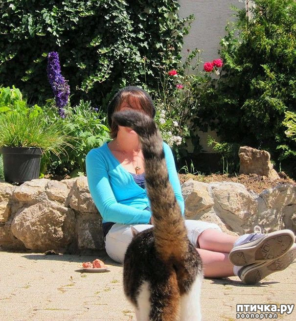 ���� 13: �����, ����������� ����