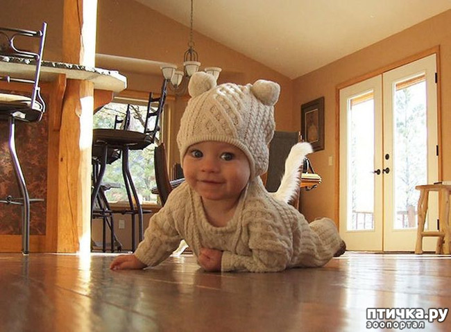 ���� 14: �����, ����������� ����