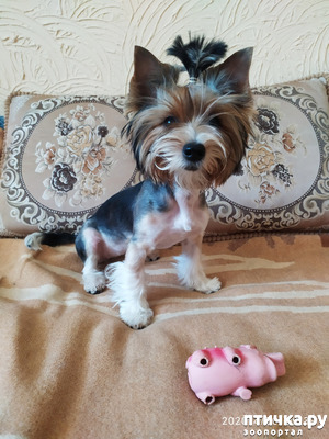 ����: ����� �������� ������ �� �����