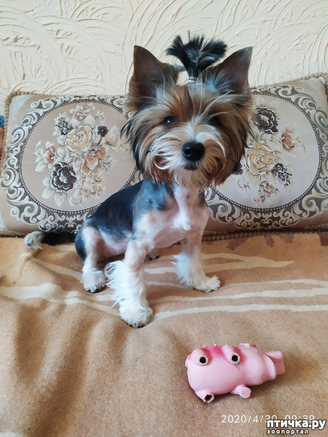 ���� 1: ����� �������� ������ �� �����