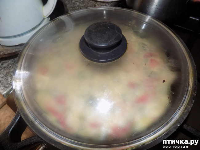 ���� 9: ��� ��� � �������� �� ����!