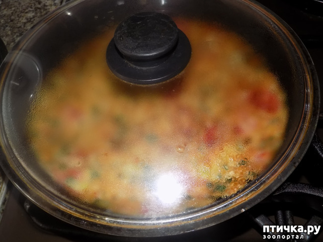 ���� 11: ��� ��� � �������� �� ����!