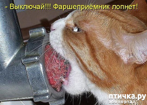 ����: ������� �����