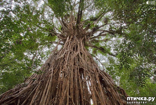 ���� 2: ������� (������� ������)