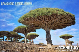 ����: �������������� �������, ������� ������ �� ����� �������