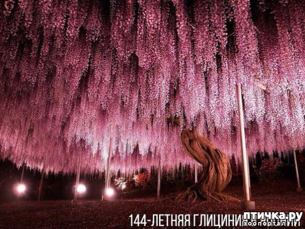 ���� 2: �������������� �������, ������� ������ �� ����� �������