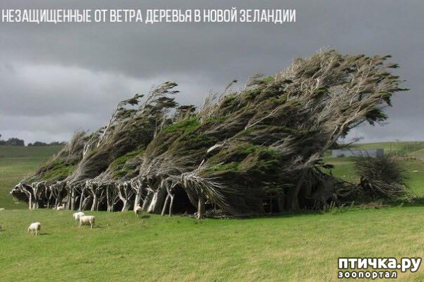 ���� 3: �������������� �������, ������� ������ �� ����� �������