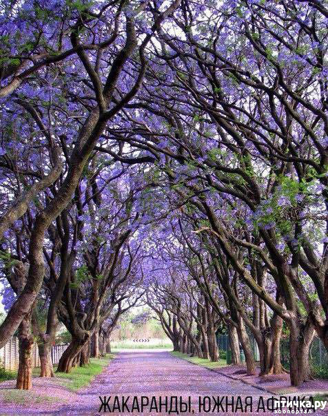 ���� 4: �������������� �������, ������� ������ �� ����� �������