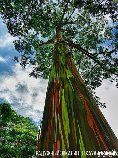 ���� 5: �������������� �������, ������� ������ �� ����� �������