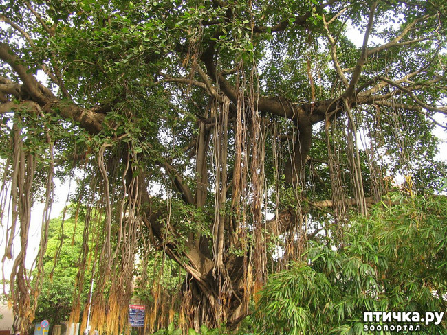 ���� 7: ������� (������� ������)