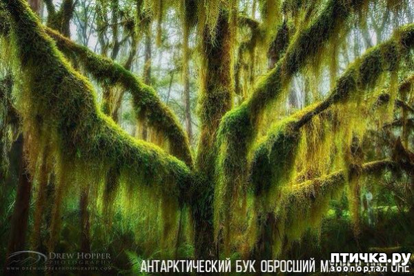 ���� 7: �������������� �������, ������� ������ �� ����� �������