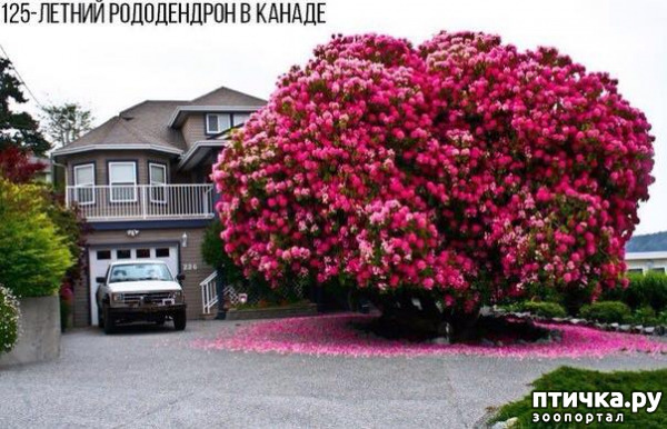 ���� 8: �������������� �������, ������� ������ �� ����� �������