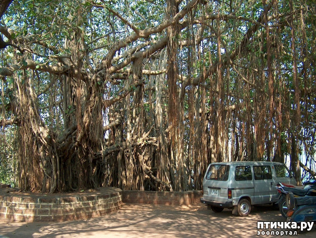 ���� 10: ������� (������� ������)