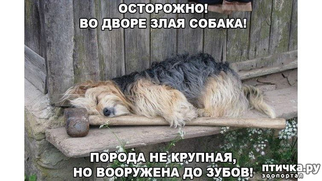 ���� 1: ������� �����