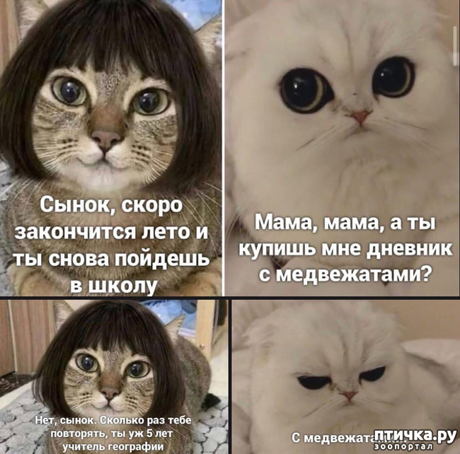 ���� 1: ��������